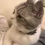 あーちゃんのプロフィール画像