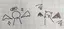 ukeのプロフィール画像