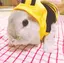 すずきなつみのプロフィール画像