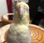 あいのプロフィール画像