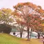 とものプロフィール画像