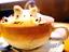 Ymamのプロフィール画像
