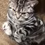 Reのプロフィール画像
