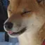 めのプロフィール画像