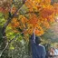 まさみちのプロフィール画像