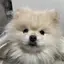 とものプロフィール画像