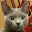 KMのプロフィール画像