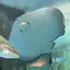 ゆうのプロフィール画像