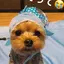 moのプロフィール画像