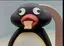 ピネのプロフィール画像