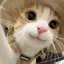 nのプロフィール画像