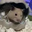 skrのプロフィール画像