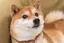 和希のプロフィール画像