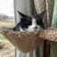 香のプロフィール画像