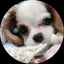 LEGACYのプロフィール画像