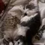 みゆきのプロフィール画像