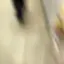 ありのプロフィール画像