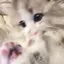 𝓢ྀིのプロフィール画像