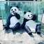 yoshiのプロフィール画像