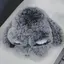 メノウのプロフィール画像