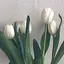 なぎさのプロフィール画像