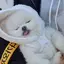 ㅁㅣのプロフィール画像