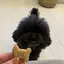 フウカのプロフィール画像