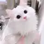 𖤐 ̖́-のプロフィール画像