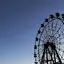 たそのプロフィール画像