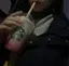 茉子のプロフィール画像
