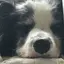 みつきのプロフィール画像
