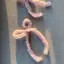 hnのプロフィール画像