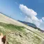 こたのプロフィール画像