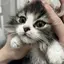 oymのプロフィール画像