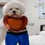 りいこのプロフィール画像
