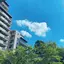 emiのプロフィール画像