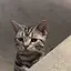 真由のプロフィール画像