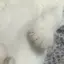 mのプロフィール画像