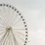 chiiiのプロフィール画像