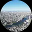 緑のプロフィール画像