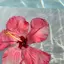 さたんのプロフィール画像