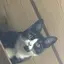 ちえのプロフィール画像