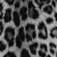 chamのプロフィール画像