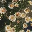 fu_yuのプロフィール画像
