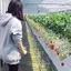 ゆきののプロフィール画像