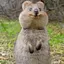 なおこのプロフィール画像