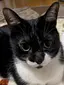 ぼぶっち朱のプロフィール画像