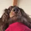 さきなのプロフィール画像