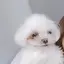 mのプロフィール画像
