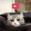 ココのプロフィール画像